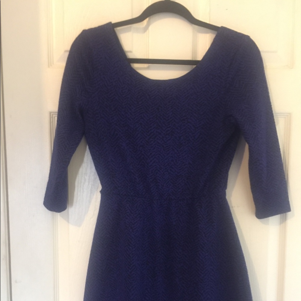 NWOT! Fit and Flare Dress! Back and blue pattern!